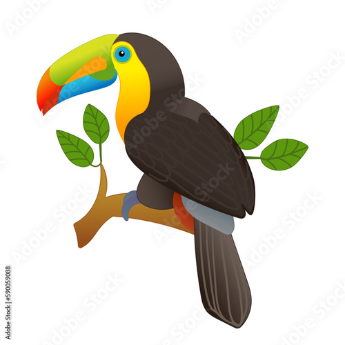Vector illustration of a toucan sitting on a branch, isolated on a white background