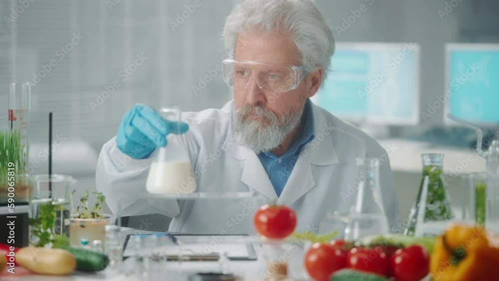 Elderly male researcher examines a sample of milk in a flask and write data. Biotechnologist analyzes the quality of the sample. Biology experiment in a research biolab. Eco products, GMO Elderly male researcher examines a sample of milk in a flask and write data. Biotechnologist analyzes the quality of the sample. Biology experiment in a research biolab. Eco products, GMO