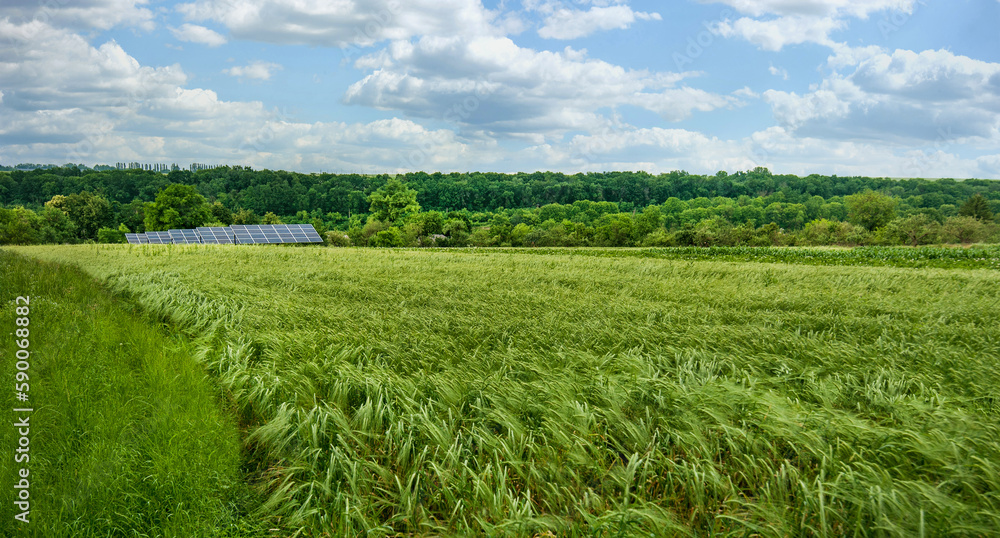 Panoramic view of green wheat field and solar panels under beautiful sky with clouds.