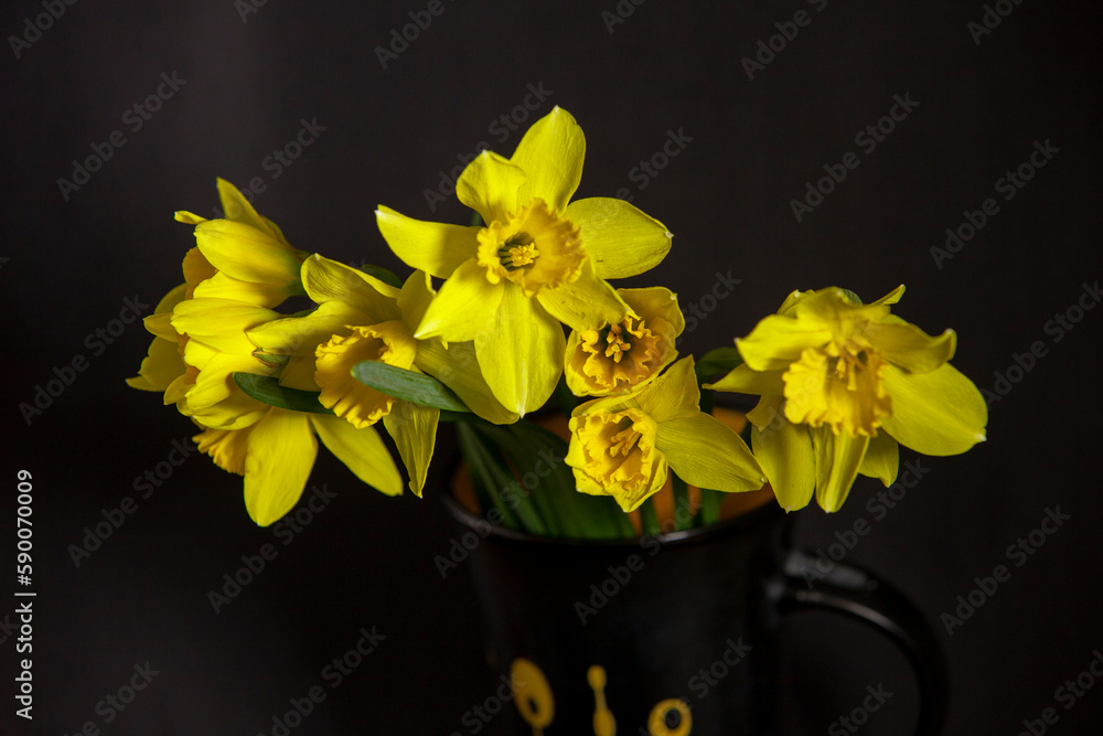 bouquet of yellow daffodils on a black background