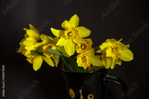 Obraz na płótnie bouquet of yellow daffodils on a black background w salonie