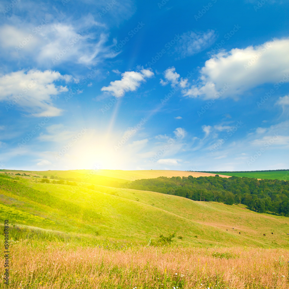 Green meadow on a hilly landscape and Sky with bright sunise. Wide photo.