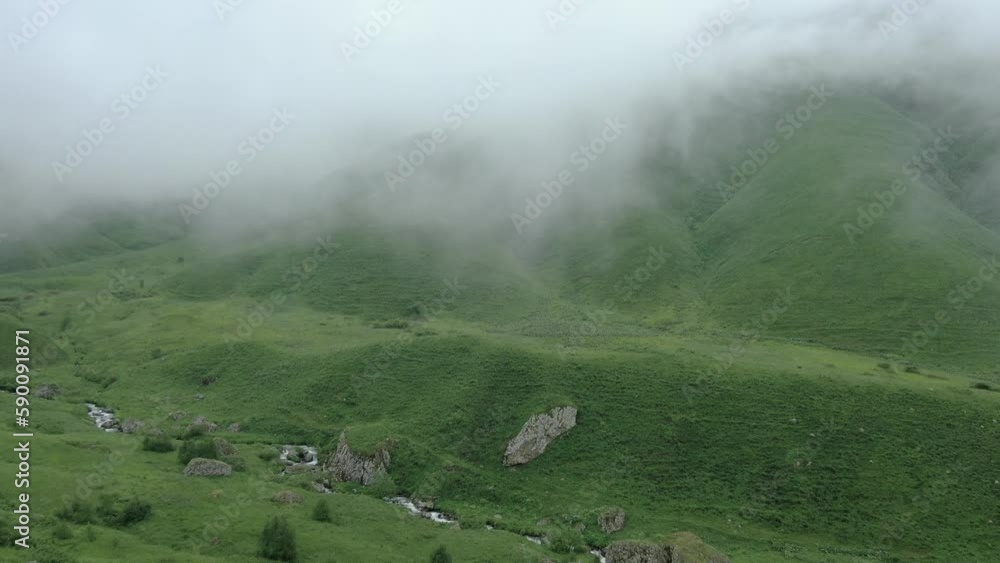 Large herd of wild sheep rams are walking along high mountain sunny slope. Large herd of wild sheep rams are walking along high mountain sunny slope.