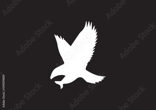 vector bird eagle pigeon design © SERAP