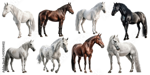 Horse set over png background created with Ai