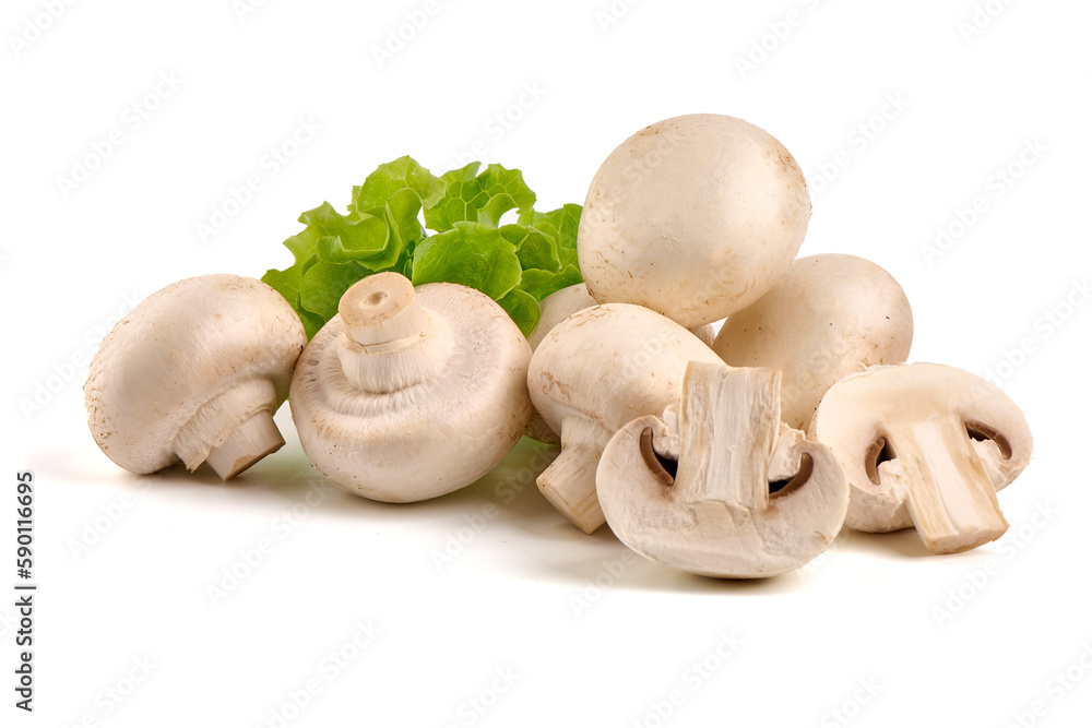 Fototapeta premium Champignons, close-up, isolated on white background.