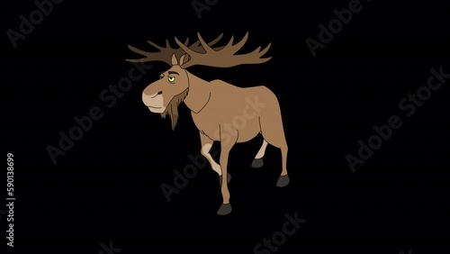 Animation of a moose. Moose is walking and chewing grass