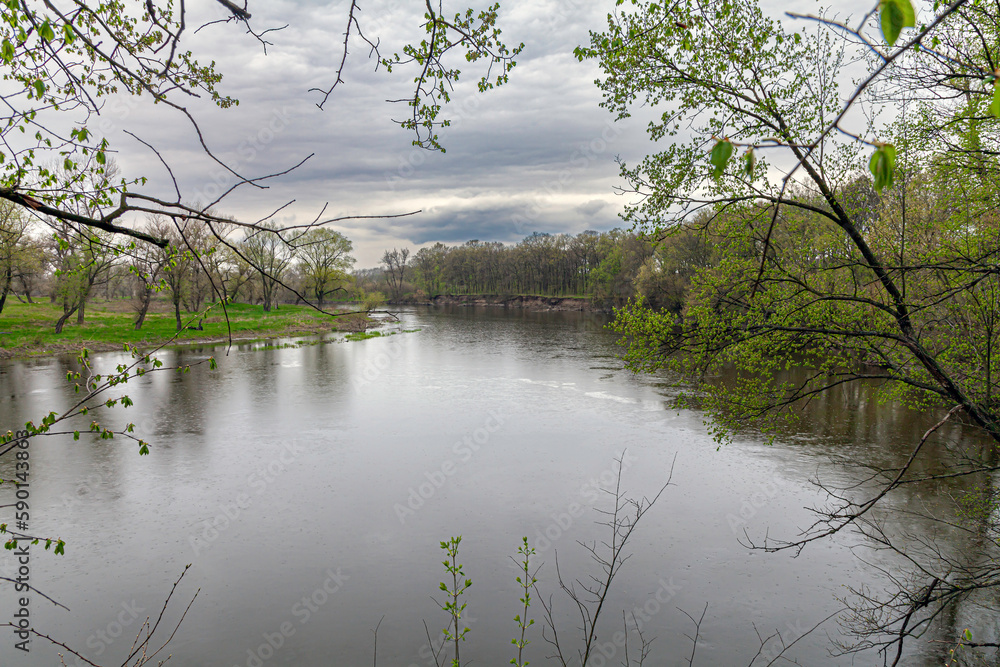 View of the river and trees in early spring while rain drops. Spring forest at morning dusk on the riverbank and the reflection of trees in the water.