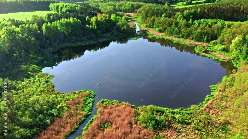 River, lake and green forest in spring at sunrise. River, lake and green forest in spring at sunrise.