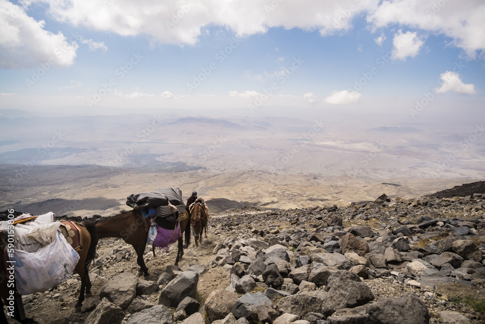 Loaded horses carry cargo up the slope of Mount Ararat against the backdrop of a mountain landscape, on a sunny day in the mountains Loaded horses carry cargo up the slope of Mount Ararat against the backdrop of a mountain landscape, on a sunny day in the mountains