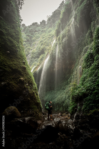 waterfall in the forest