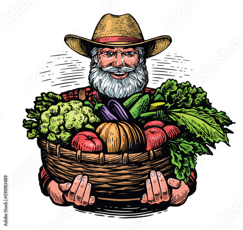 Senior farmer holding basket with vegetables with garden. Organic farm food vector illustration