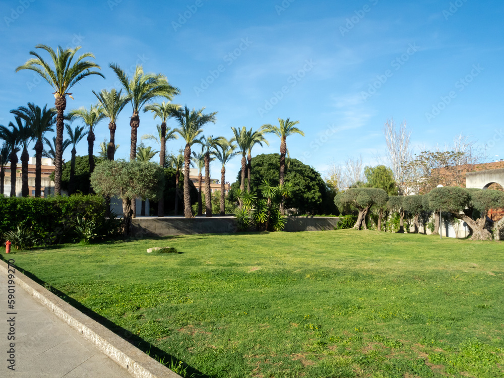 Jardín con setos, olivos y palmeras, con un cielo azul.