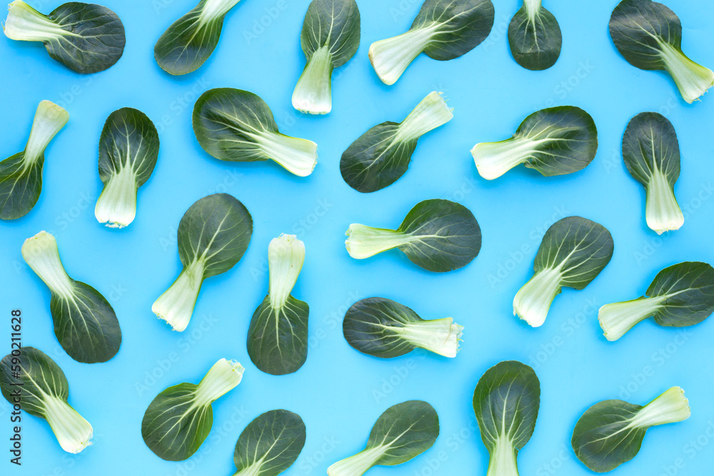 Bok choy on blue background. Bok choy on blue background.