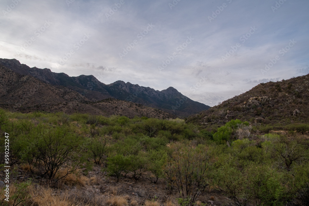 Monsoon clouds in Arizona mountains Monsoon clouds in Arizona mountains