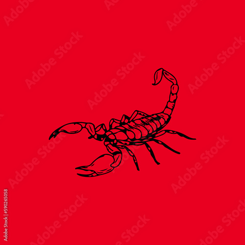 red scorpion illustrator vector concept