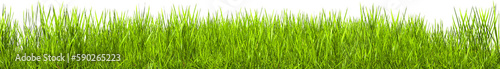 Green grass border. Horizon of the green lawn. Green field frame. Transparent background, PNG file