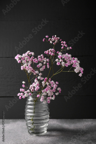 Wallpaper Mural Beautiful dyed gypsophila flowers in glass vase on light grey table Torontodigital.ca