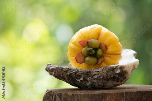 Garcinia atroviridis or Garcinia fruit on nature background. photo