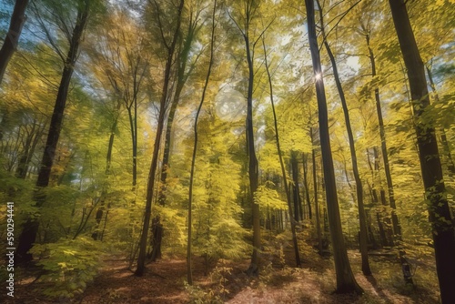 A photorealistic image of a forest with tall tree © Dennis