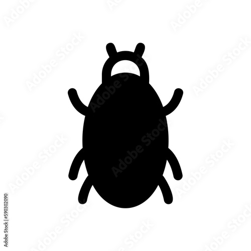lice