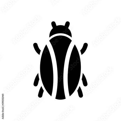 lice