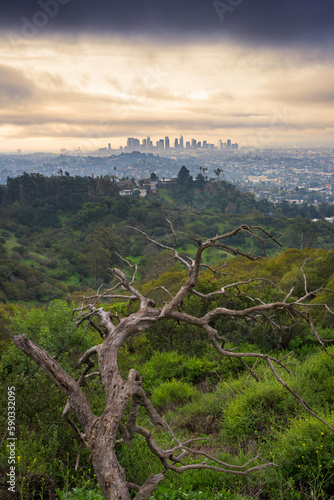 Los Angeles view from Griffith park