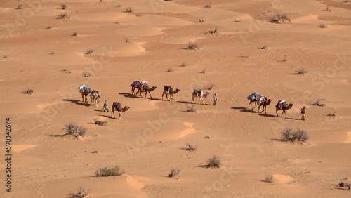 Overhead view of bedouins leading a caravan of camels through the Sahara Desert, outside of Douz, Tunisia