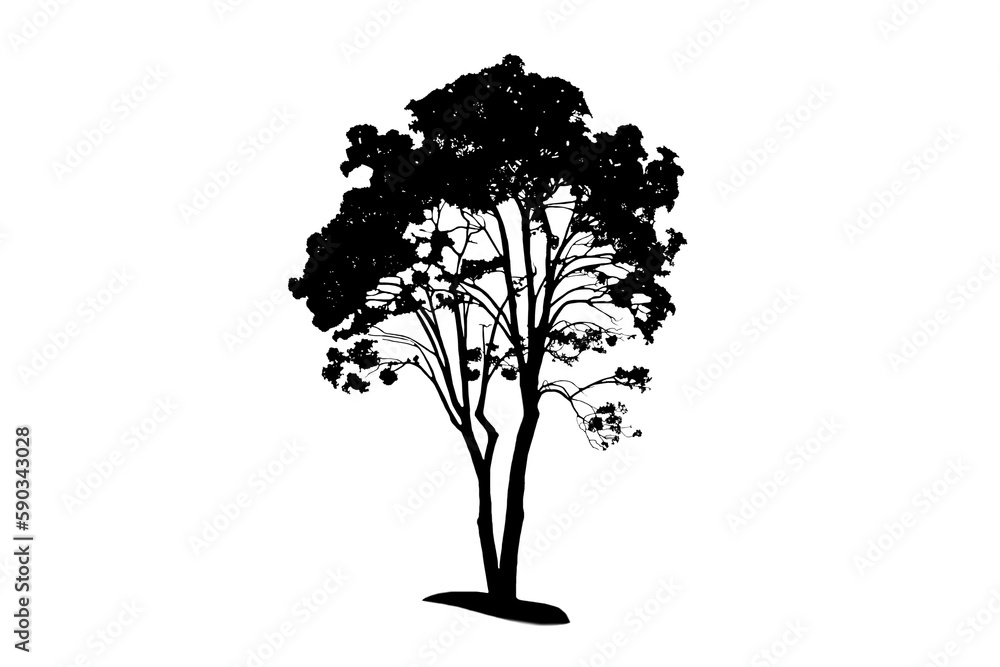 Fototapeta premium Isolated image of tree silhouette on png file on transparent background.