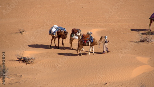 Overhead view of a bedouin leading a caravan of camels through the Sahara Desert  outside of Douz  Tunisia
