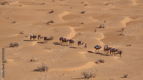 Overhead view of bedouins leading a caravan of camels through the Sahara Desert, outside of Douz, Tunisia