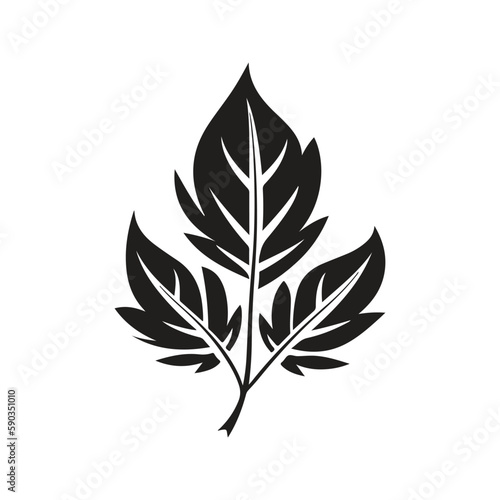 leaf, vintage logo concept black and white color, hand drawn illustration