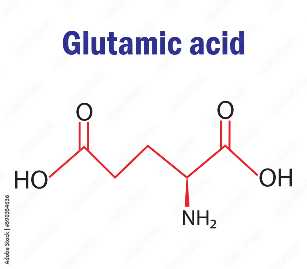 Glutamic acid amino acid formula and structure. Chemical molecular