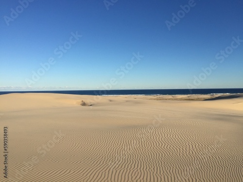 sand dunes on the beach