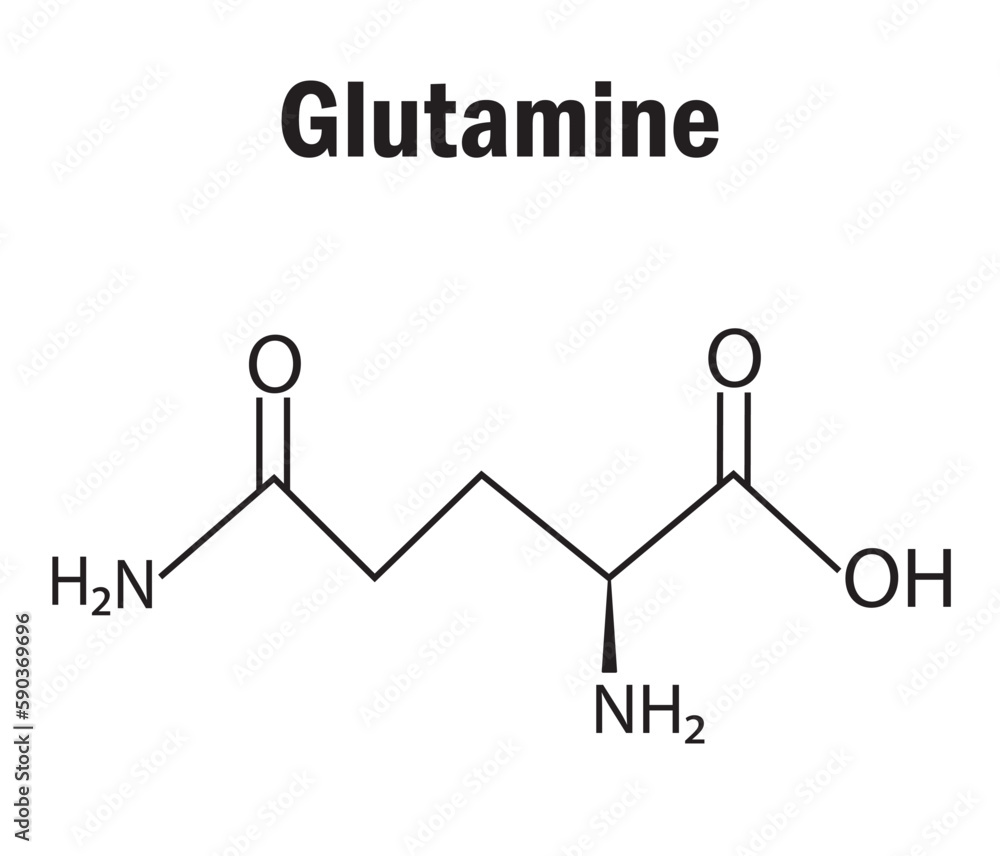 Glutamine amino acid formula and structure. Chemical molecular formula of glutamine . Study
