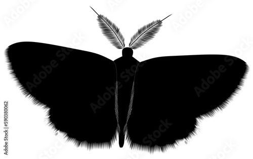fuzzy moth silhouette
