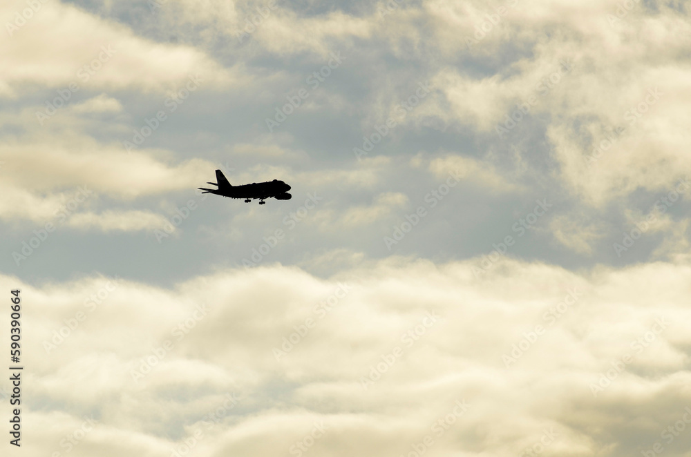Fototapeta premium 上空の自衛隊機