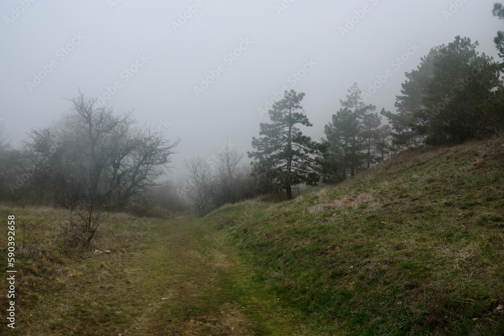 Landscape of Karadag Reserve in spring. View of trees on mountain in fog and clouds. Crimea Landscape of Karadag Reserve in spring. View of trees on mountain in fog and clouds. Crimea