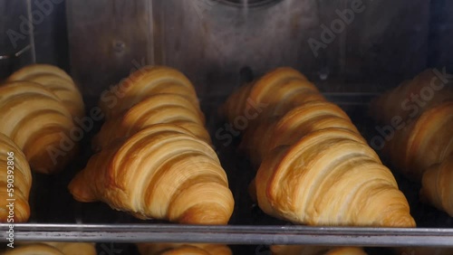 Timelapse of croissants baked in oven. Classic Viennoiserie made of puff pastry. French bakery. baking process. Making croissants. Time Lapse of cooking homemade bakery croissants rising up. 4 k video