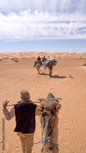 Bedouin leading a camel in a caravan in the Sahara Desert  outside of Douz  Tunisia  seen over the head of the camel