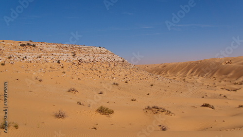Rocky hill in the Sahara Desert  outside of Douz  Tunisia