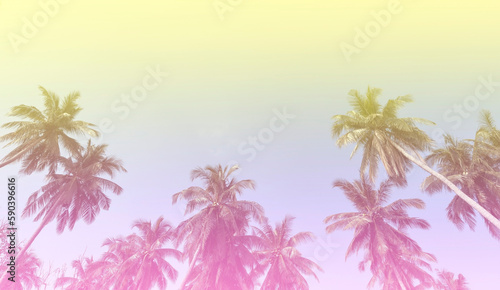 The holiday of Summer with colorful theme as palm trees background as texture frame background