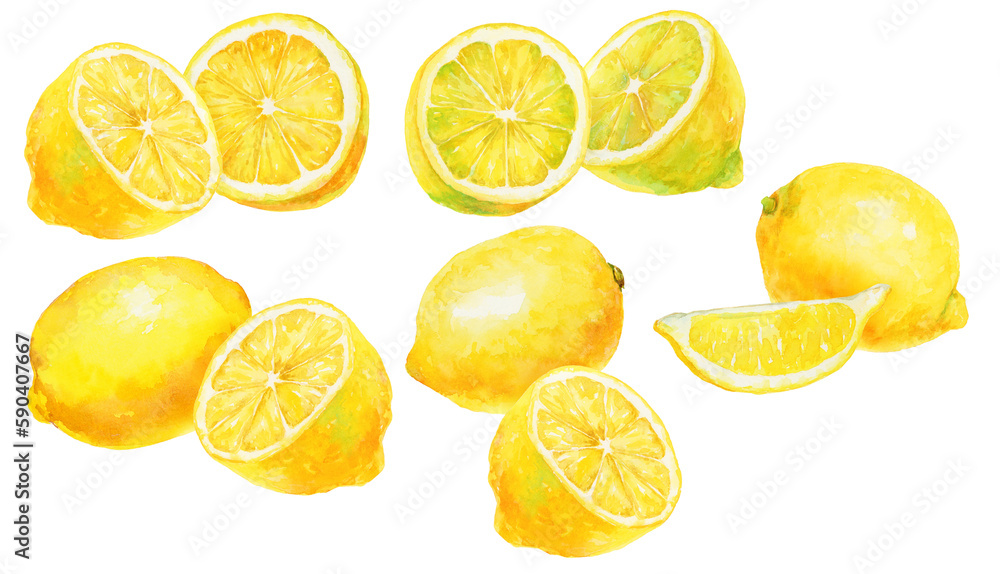 水彩画イラスト　フレッシュなレモンの素材集