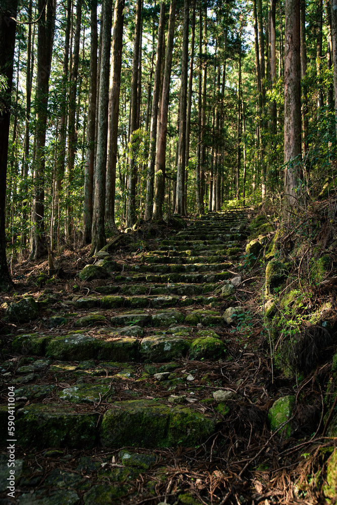 Stone steps of Kumano Kodo in the early morning Stone steps of Kumano Kodo in the early morning