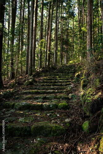 Stone steps of Kumano Kodo in the early morning