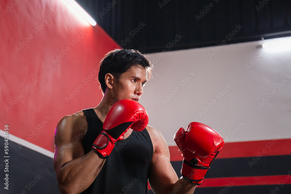 Portrait of Strong young athlete sportsman muay thai boxer fighting in ...