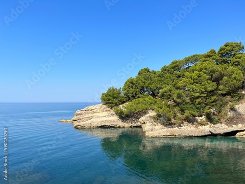 Blue sea water calm water and pine trees on coastal rocks in summer.