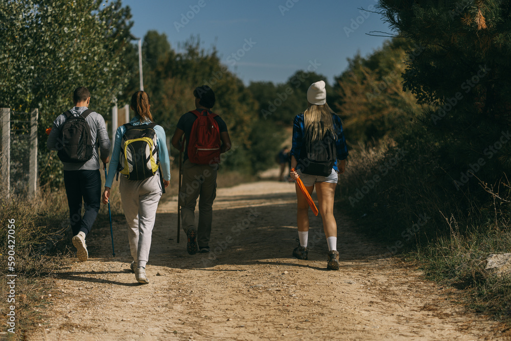 Obraz premium Back view photo of four sporty hikers