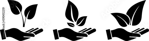 Icons of a plant in the palm of your hand as a concept of environmental conservation