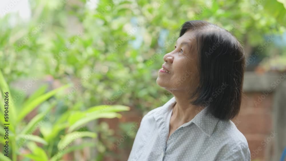 Asian senior woman smiling and healthy standing at home. Happy elderly grandmother look at tree in the garden at home Asian senior woman smiling and healthy standing at home. Happy elderly grandmother look at tree in the garden at home